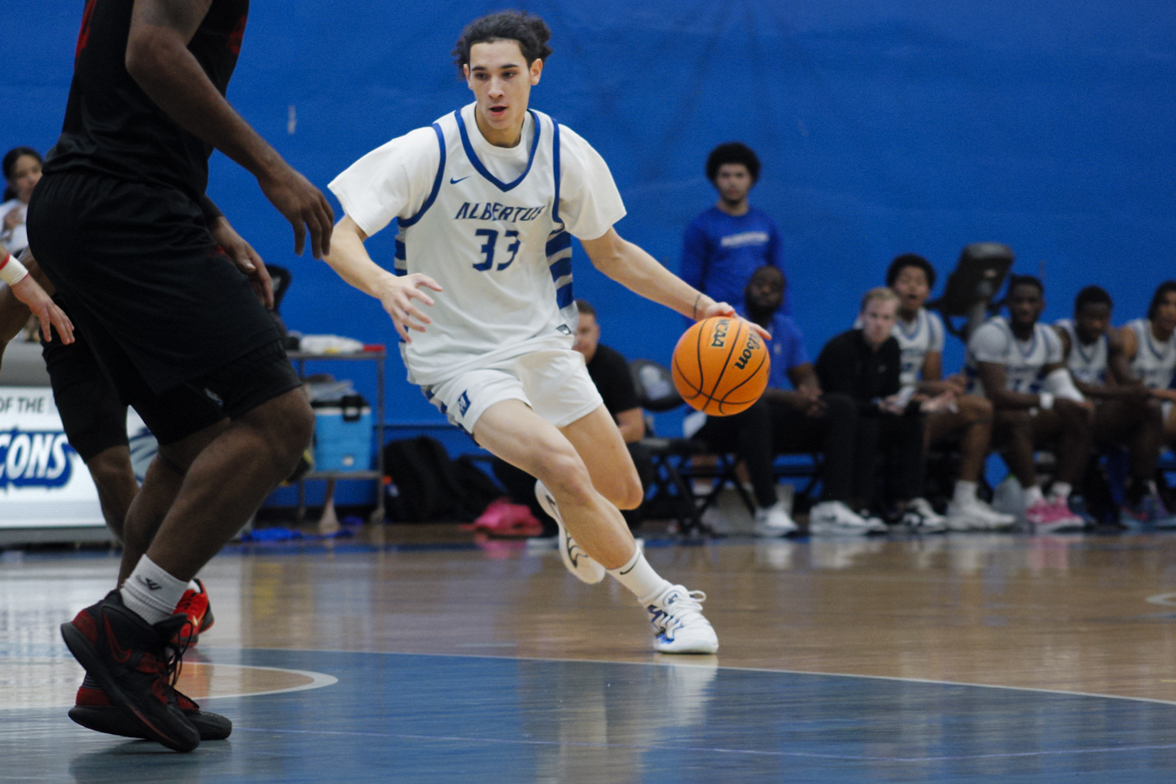 Four Falcons Score In Double Figures; Men's Basketball Falls to UMass Dartmouth in LaFrance Hospitality Tournament