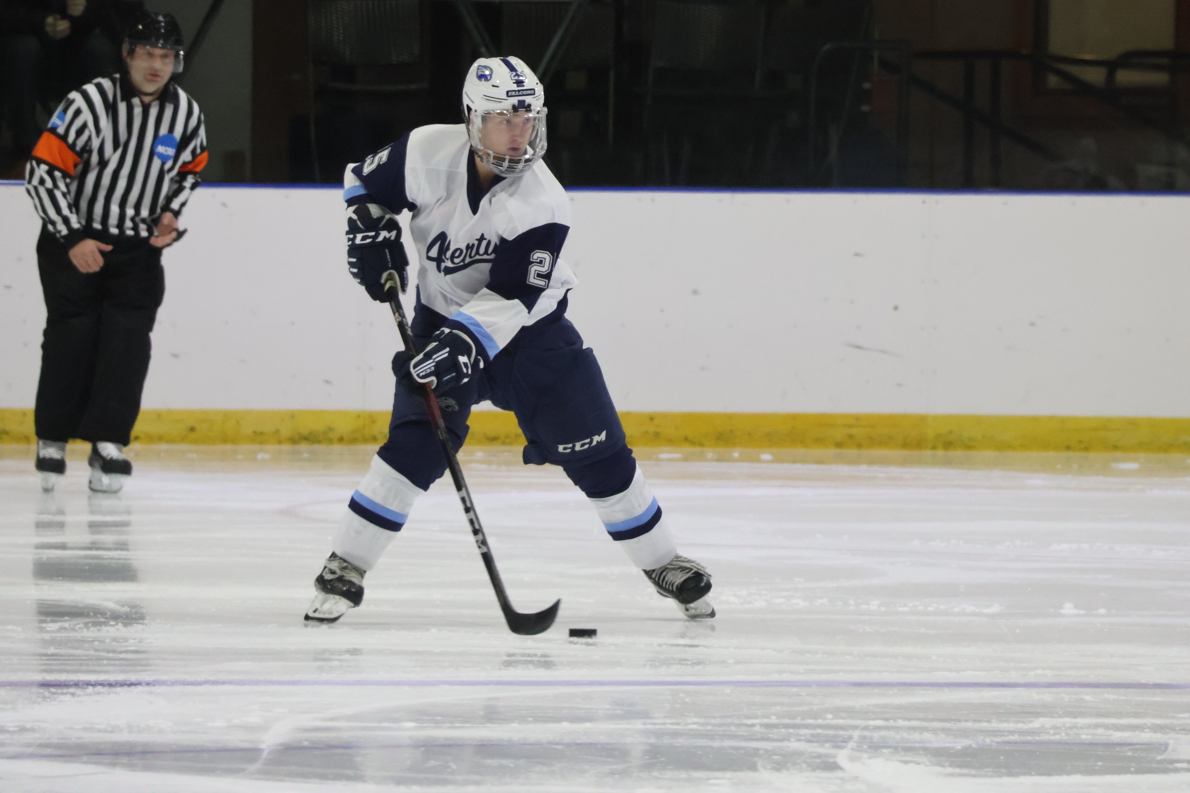 Men&rsquo;s Ice Hockey Wins in Season Opener Over Suffolk, 6-2