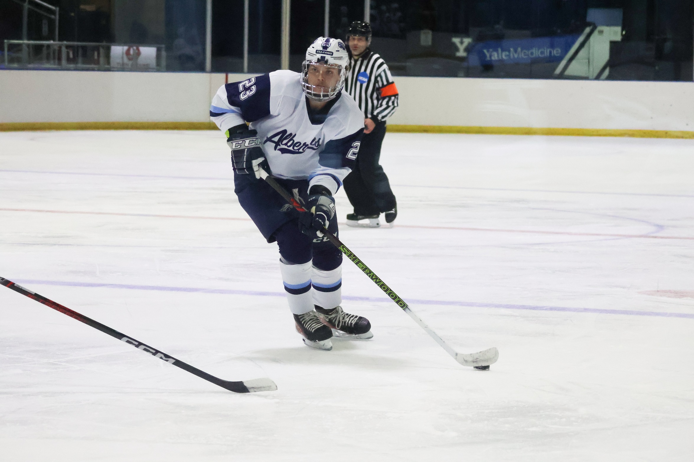 Men&rsquo;s Ice Hockey Falls in Home Opener to Wilkes