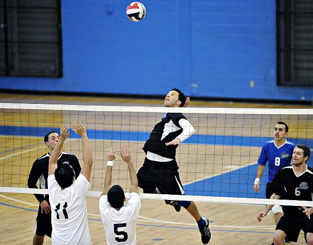 Falcons Fall to University of New Haven