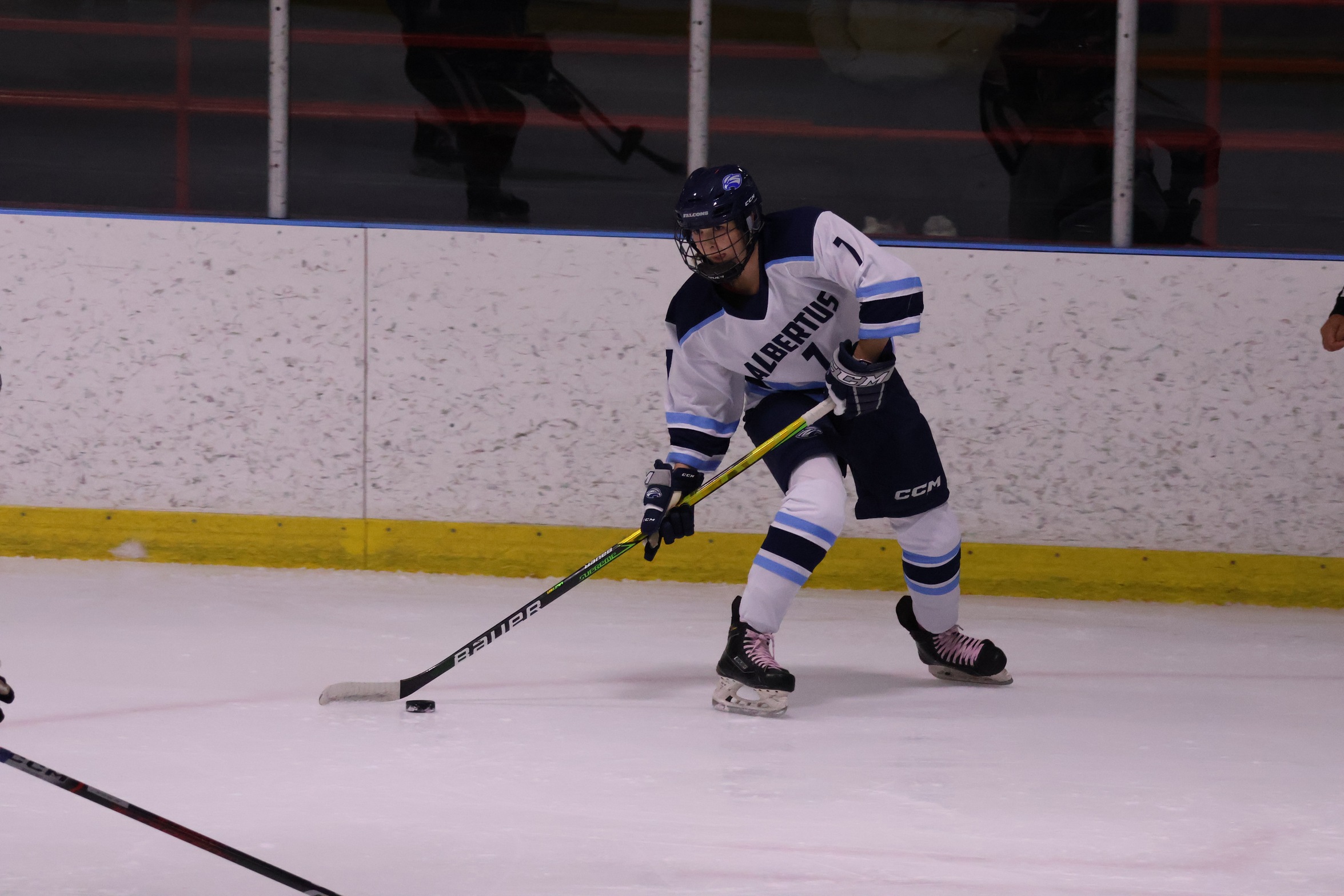 Women&rsquo;s Ice Hockey Defeated by Arcadia