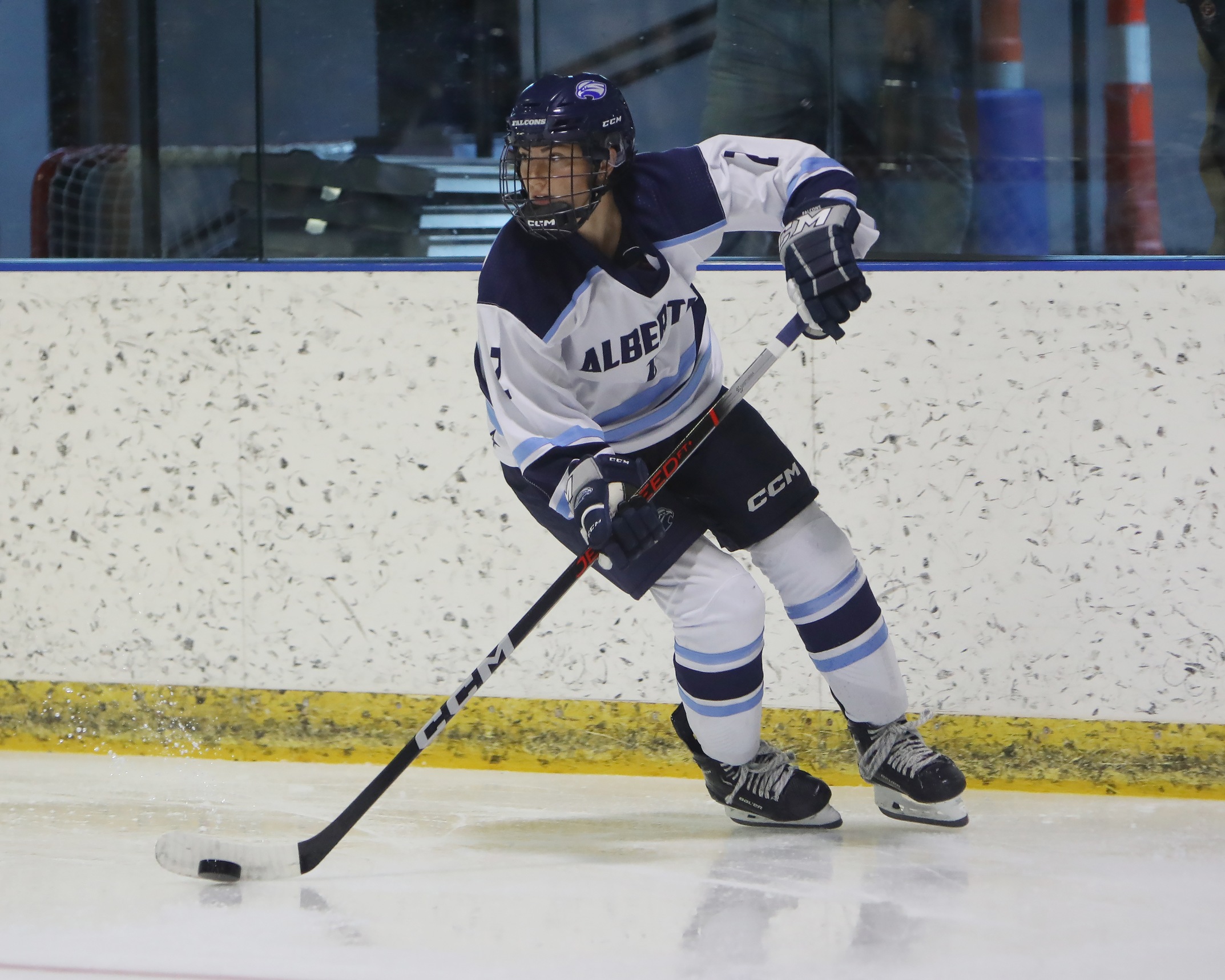 Women's Ice Hockey Falls to NEHC Opponent Salve Regina