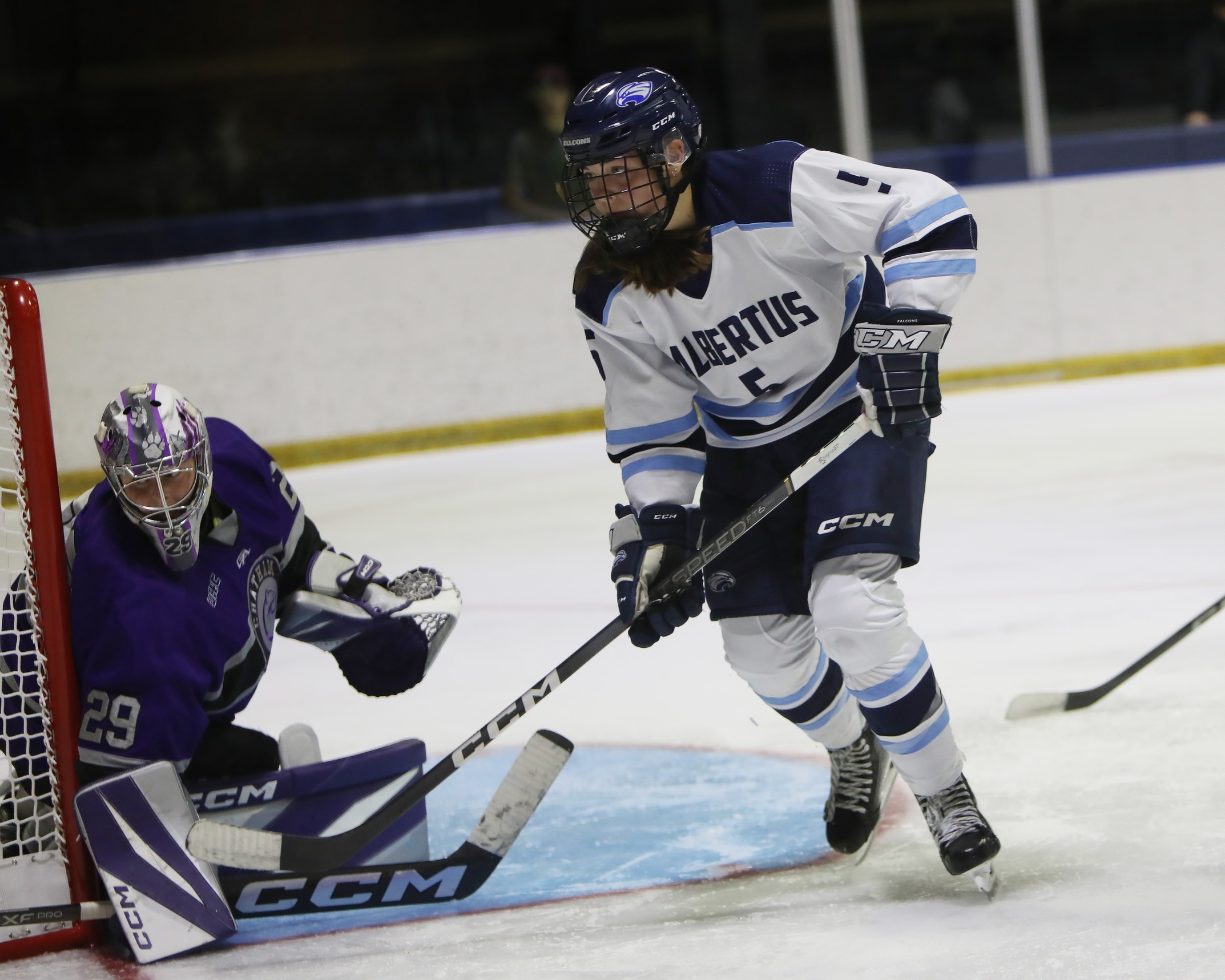 Women&rsquo;s Ice Hockey Falls to Castleton on the Road