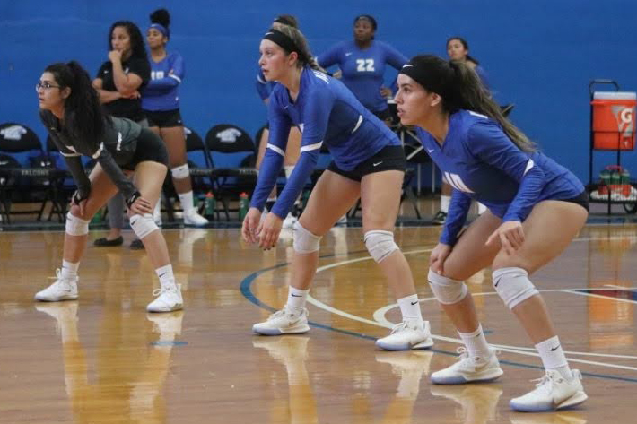 Regis Upends Women's Volleyball in GNAC Action