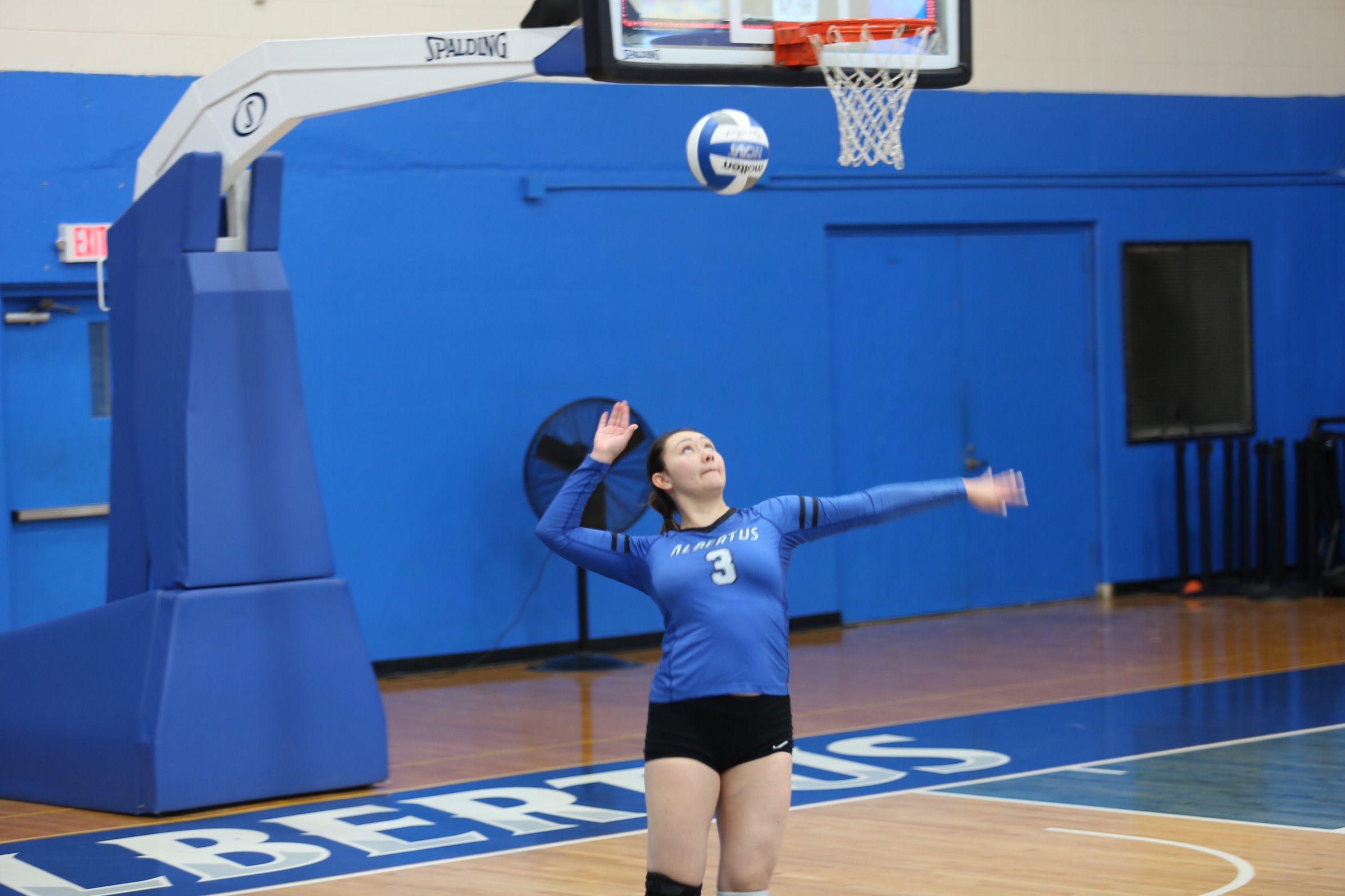 Women's Volleyball Dominant In Tri-Match Wins Over York, St. Joseph's (Brooklyn)