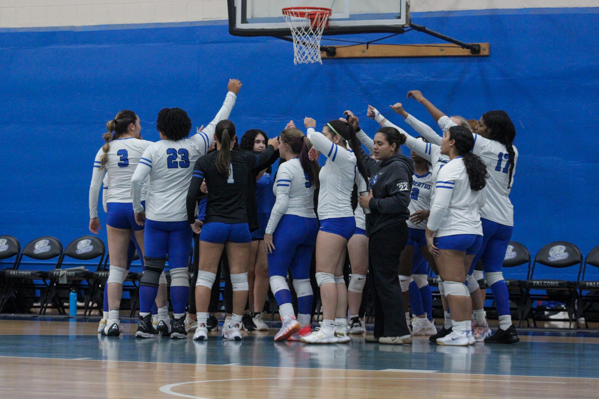 Volleyball Loses Both Ends Of GNAC Doubleheader To Colby-Sawyer, Regis
