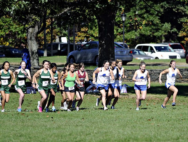 Blekis and Darin Lead Falcons